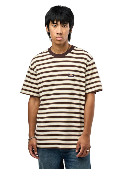 Dickies Stripe Ss Tee Chocolate Brown Uomo - 1