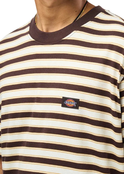 Dickies Stripe Ss Tee Chocolate Brown Uomo - 2