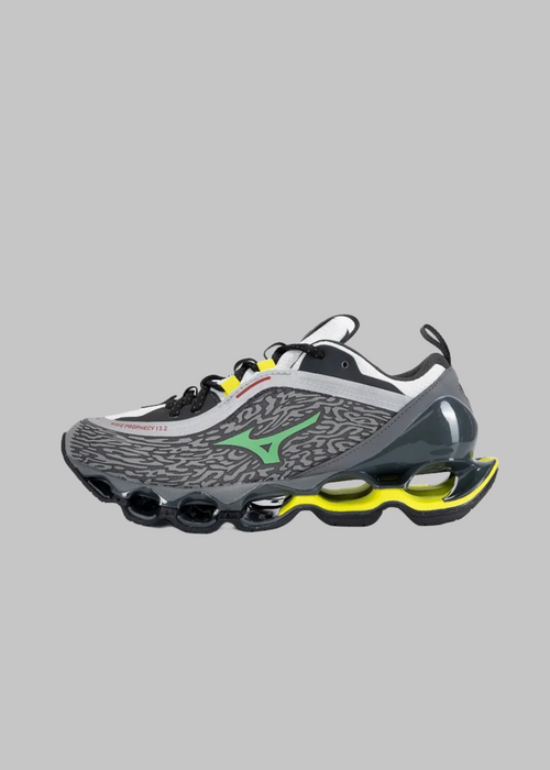 Shoe wave prophecy 13.2
