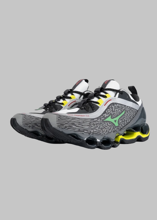 Shoe wave prophecy 13.2 - 2