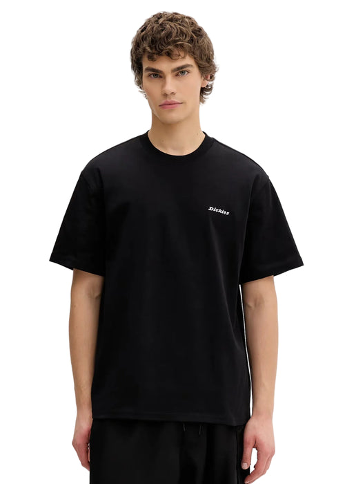 Dickies Baker Hoodie Black Uomo - 1
