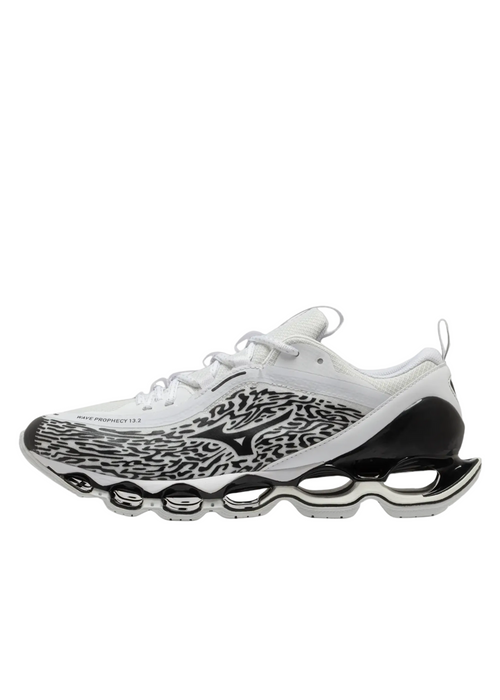 Shoe wave prophecy 13.2